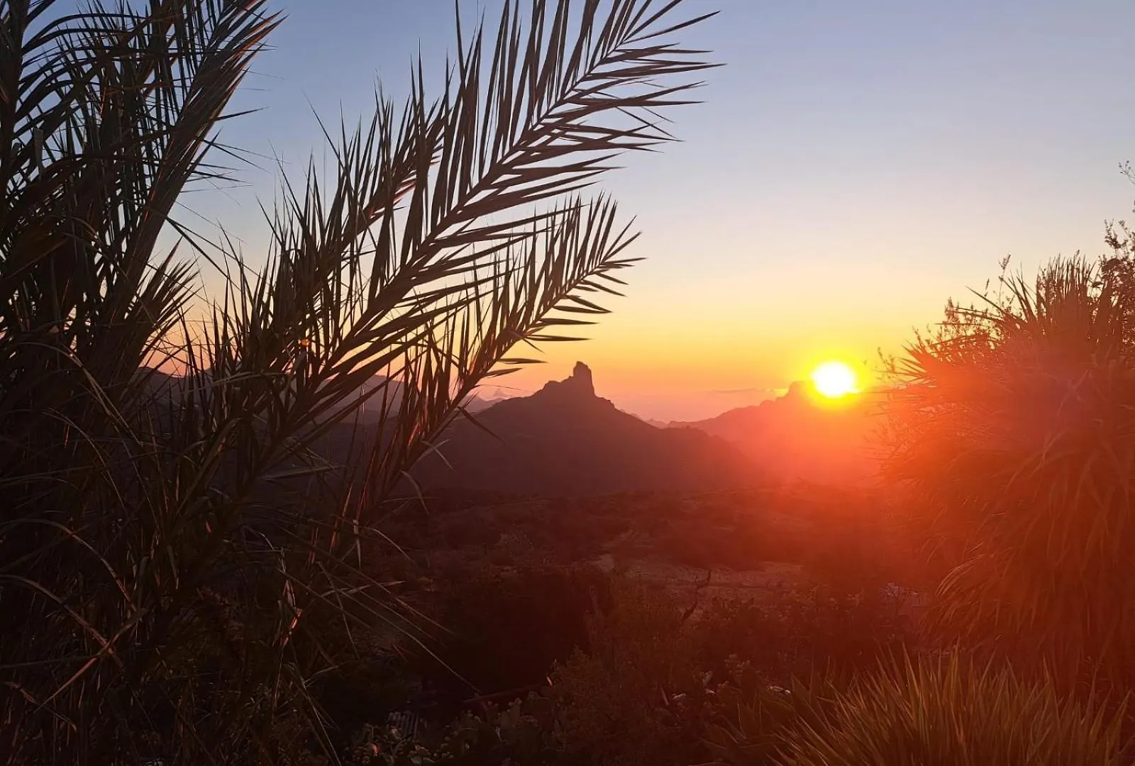 Hostel Mountain Hostel&House Finca La Isa By Rose Tejeda  Spain