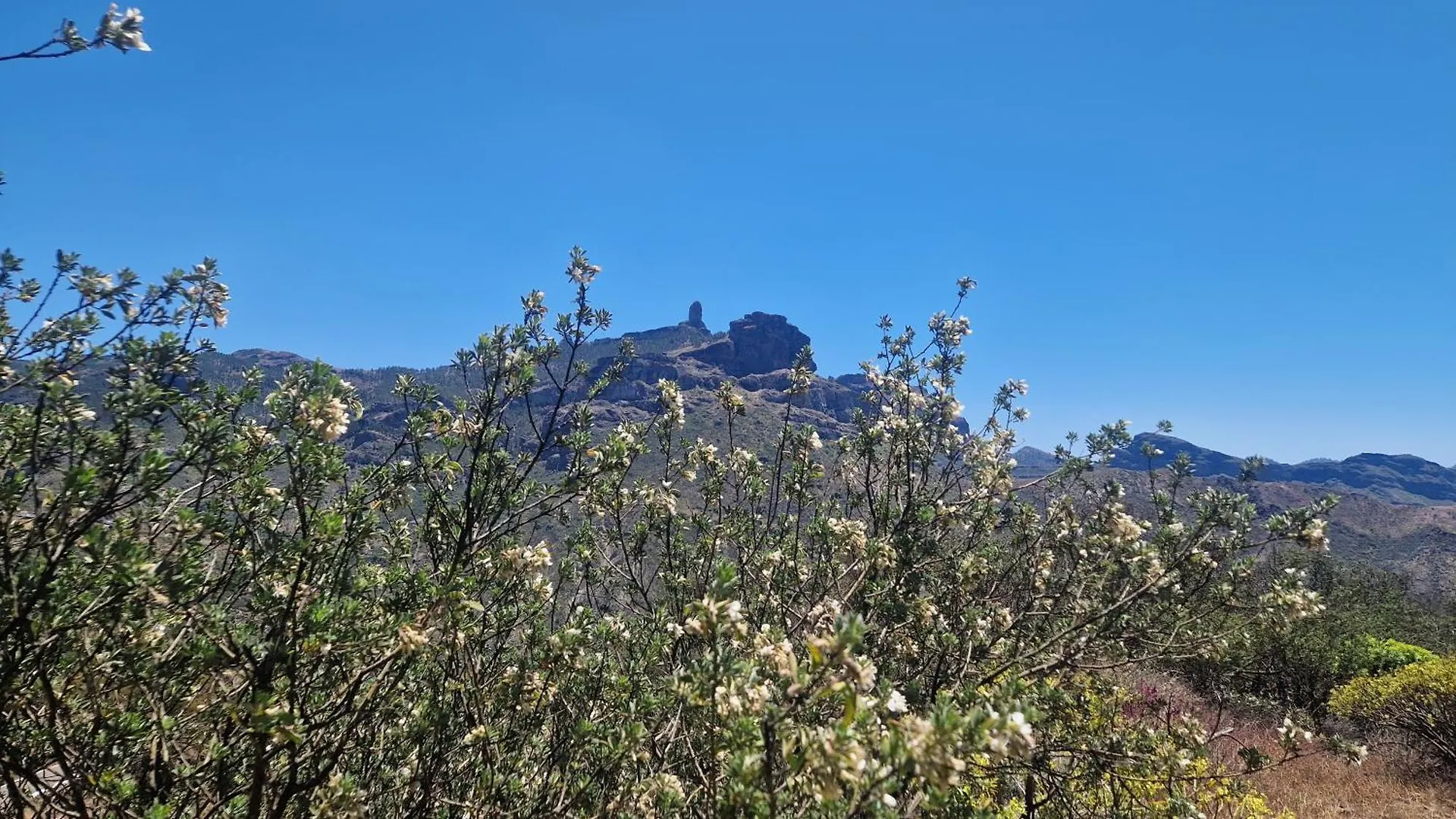 Mountain Hostel&House Finca La Isa By Rose Tejeda  Hostel Tejeda (Gran Canaria)
