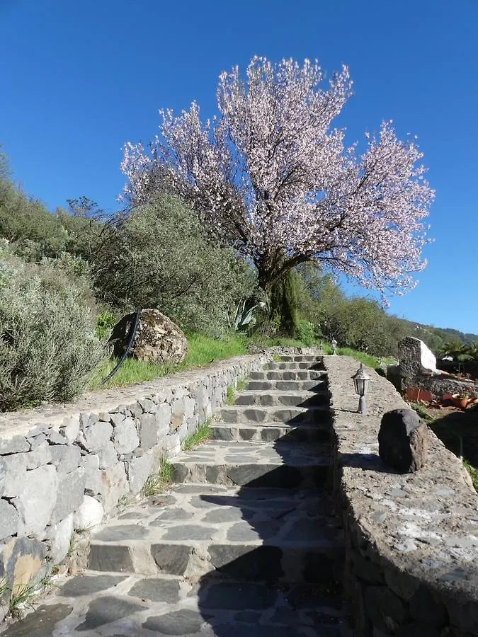 Mountain Hostel&House Finca La Isa By Rose Tejeda  Hostel