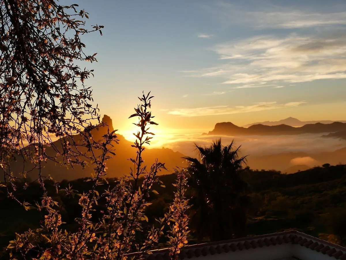 Hostel Mountain Hostel&House Finca La Isa By Rose Tejeda  Spain