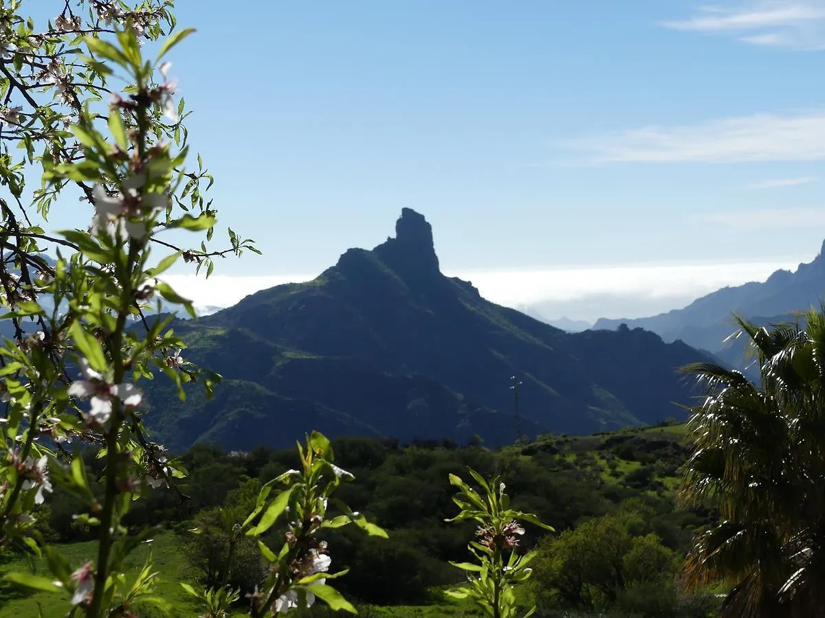 Mountain Hostel Finca La Isa By Rose Tejeda
