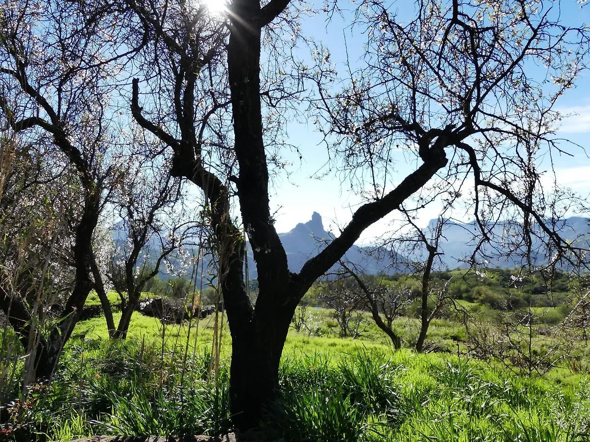 Mountain Hostel&House Finca La Isa By Rose Tejeda  Hostel Tejeda (Gran Canaria)