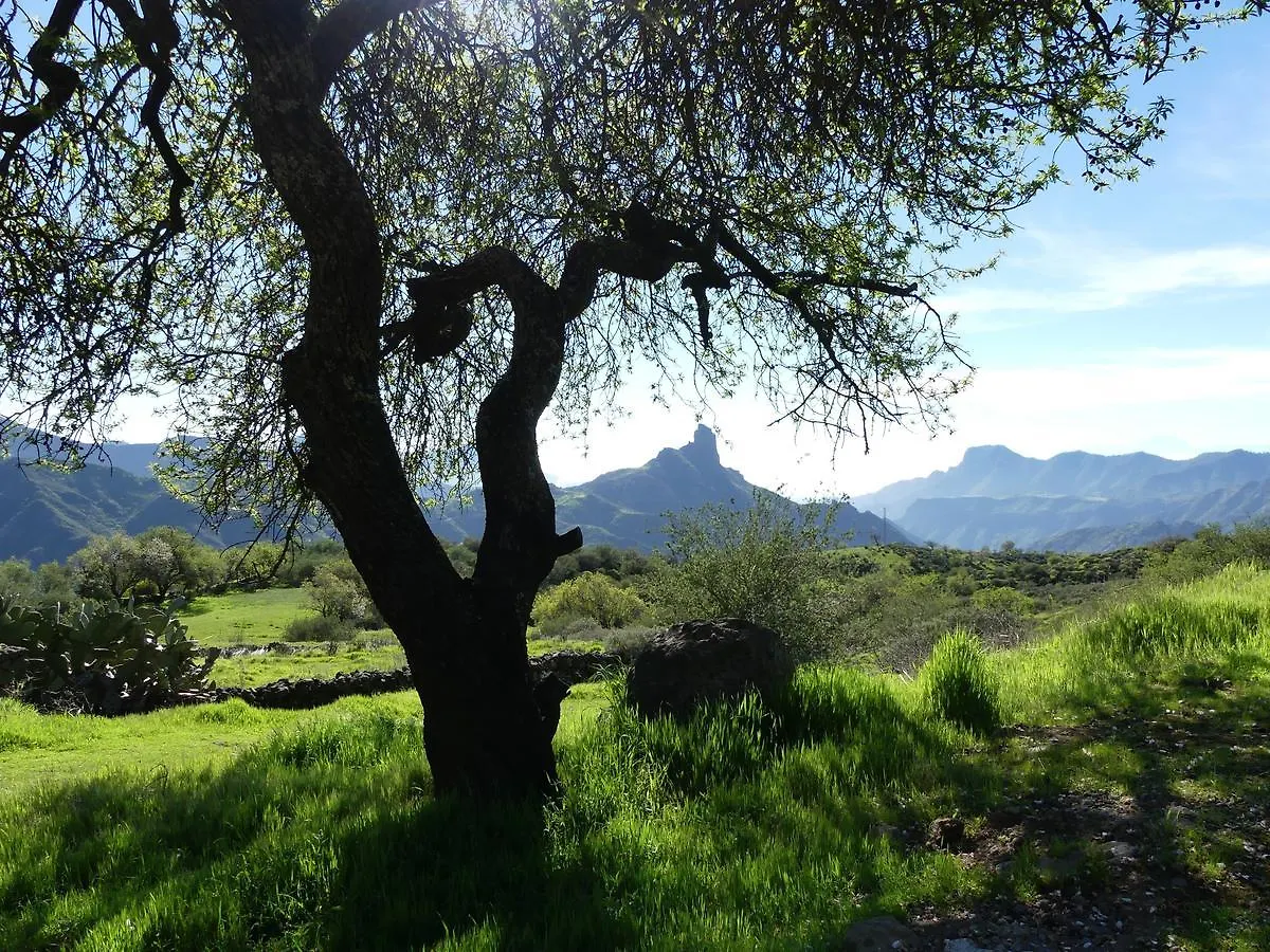 Hostel Mountain Hostel&House Finca La Isa By Rose Tejeda  Spain